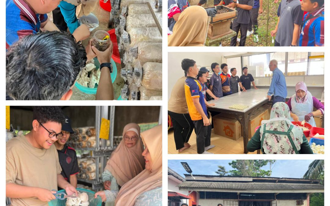 PROGRAM AGROPRENEUR 2025